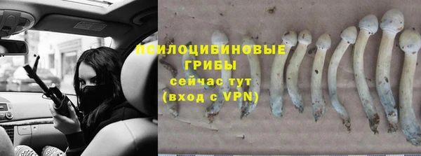 ECSTASY Балахна