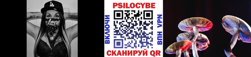 это как зайти  Ядрин  Псилоцибиновые грибы Magic Shrooms 